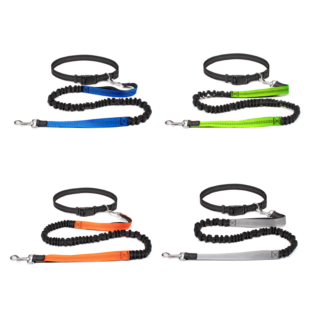 Handvrije hondenriem voor wand - Running Gear Belt recensie en prijs